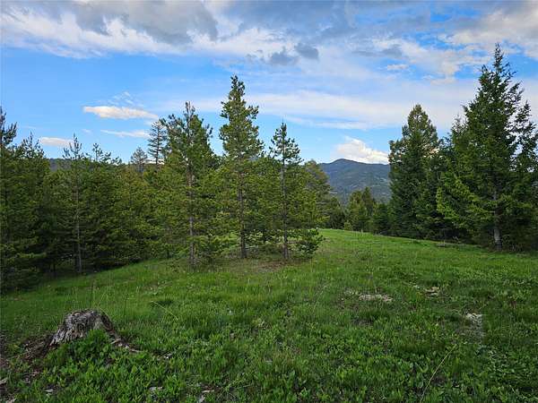 40 Acres of Recreational Land for Sale in Goldcreek, Montana