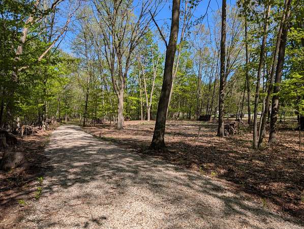 1 Acre of Residential Land for Sale in Alden, Michigan