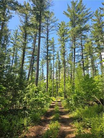 16.2 Acres of Recreational & Residential Land for Sale in Croghan, New York