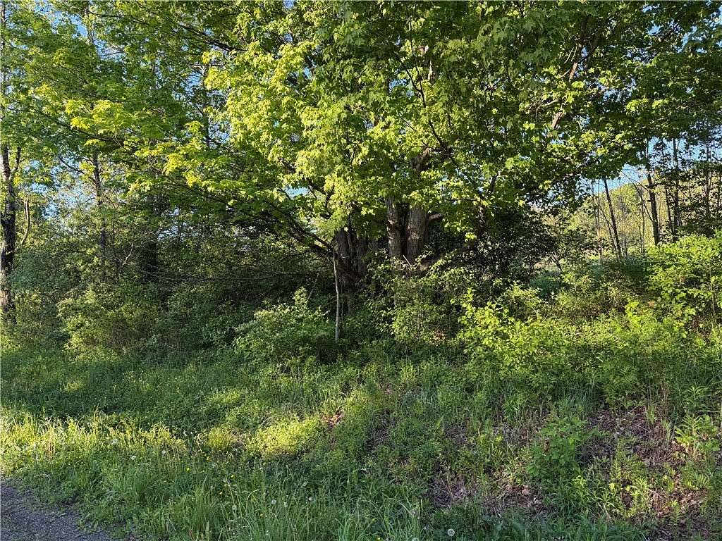 5.76 Acres of Residential Land for Sale in Gilbertsville, New York