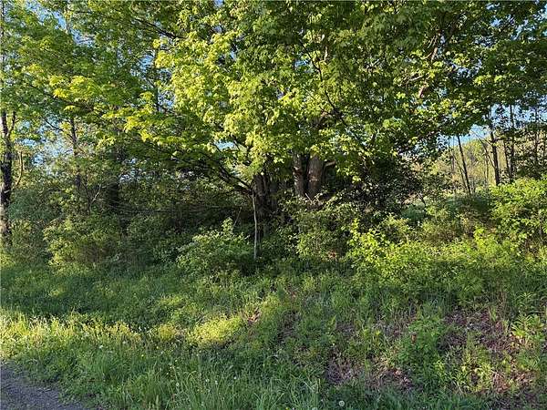 5.76 Acres of Residential Land for Sale in Gilbertsville, New York