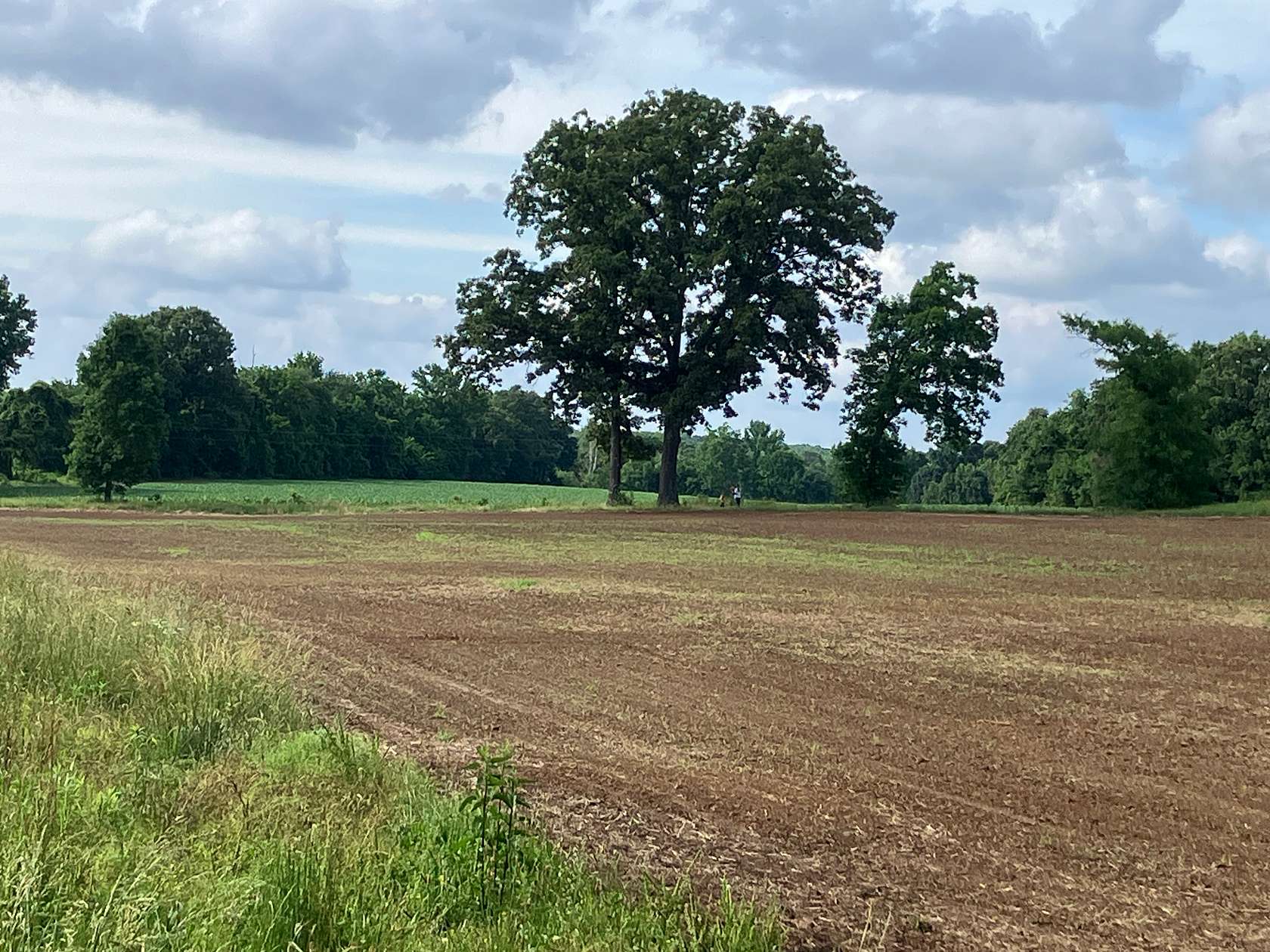 7 Acres of Land for Sale in McKenzie, Tennessee
