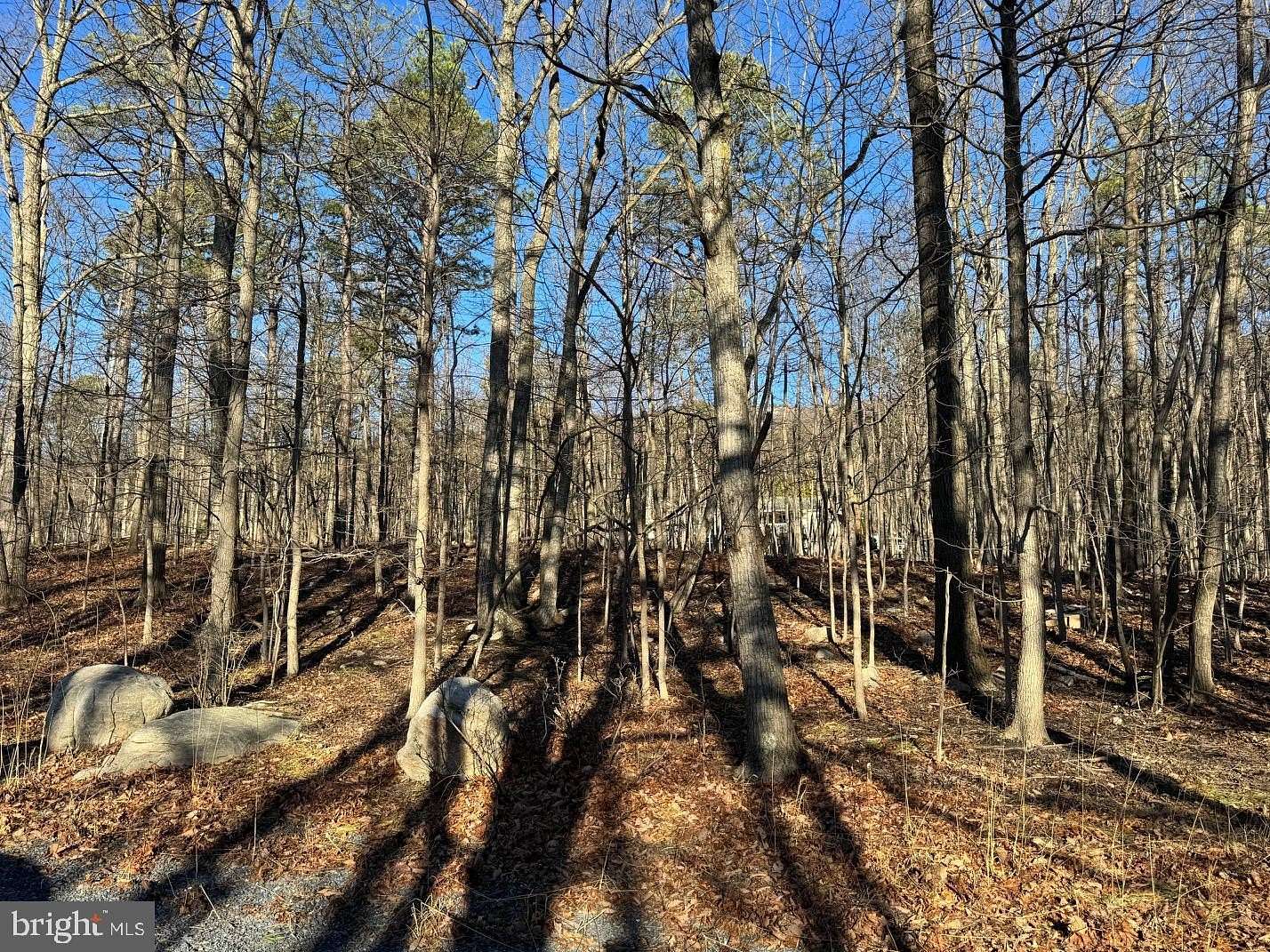 0.26 Acres of Residential Land for Sale in Winchester, Virginia