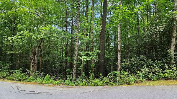 0.75 Acres of Residential Land for Sale in Sapphire, North Carolina