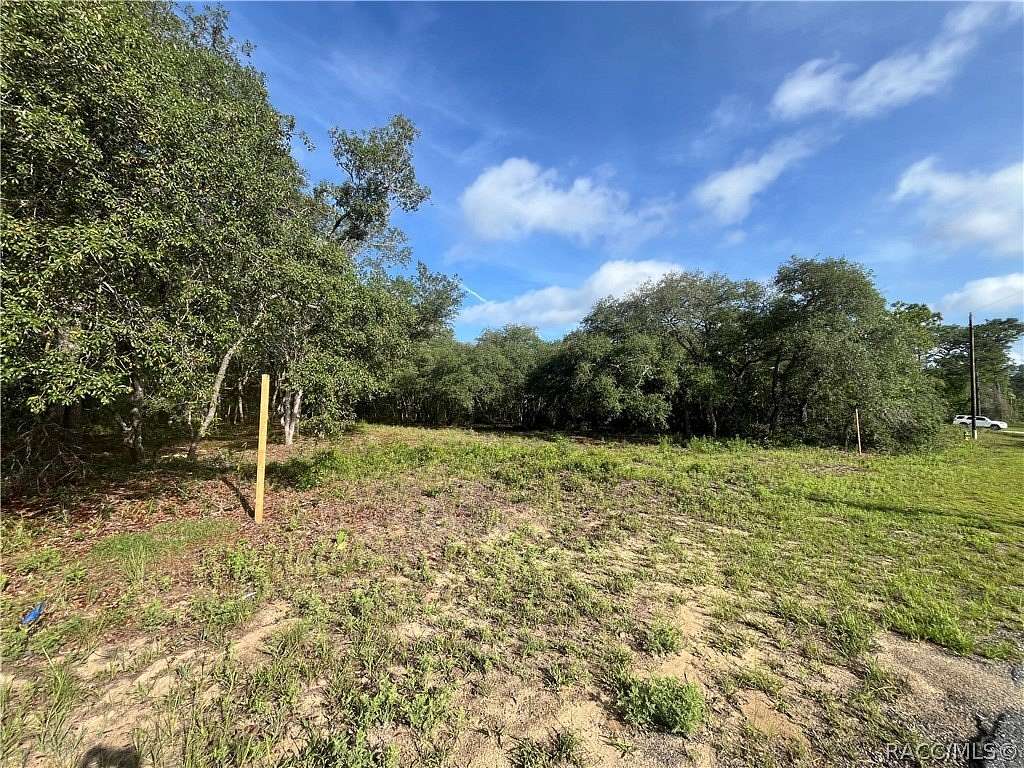 0.28 Acres of Land for Sale in Citrus Springs, Florida