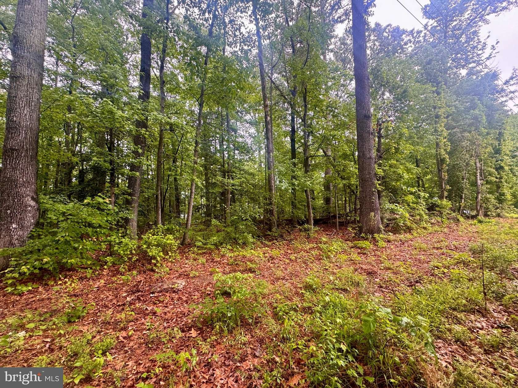0.1 Acres of Residential Land for Sale in Hague, Virginia