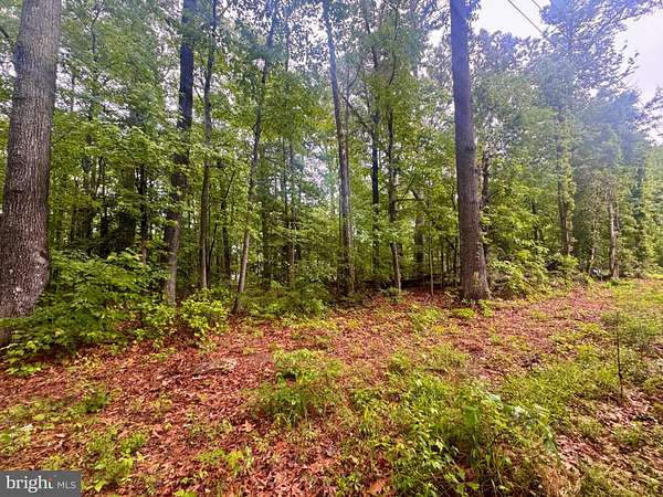 0.1 Acres of Residential Land for Sale in Hague, Virginia