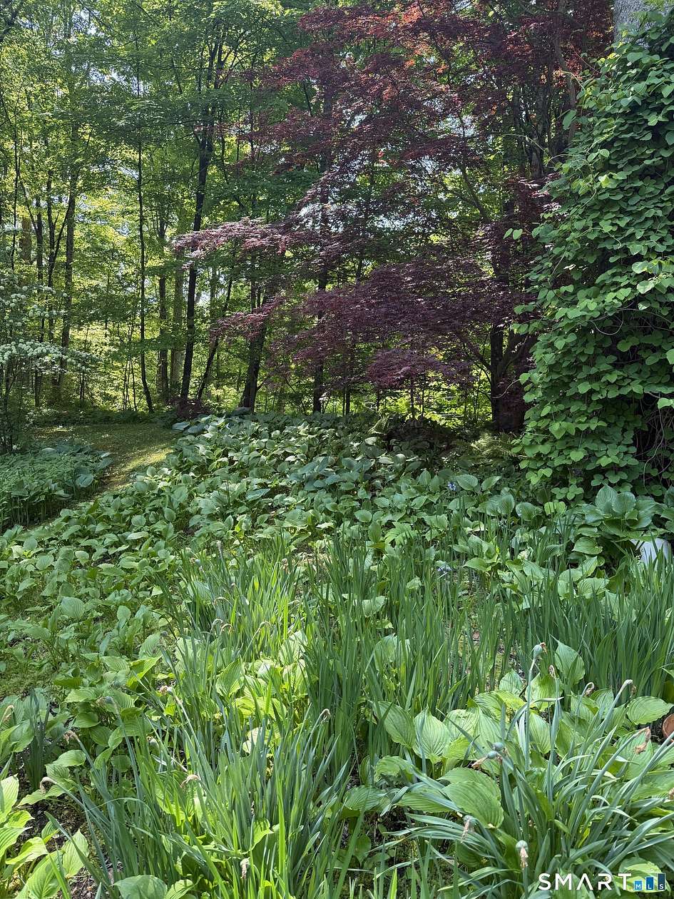 6.7 Acres of Residential Land for Sale in Roxbury, Connecticut