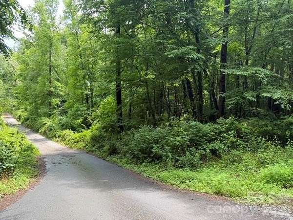 3.88 Acres of Residential Land for Sale in Asheville, North Carolina