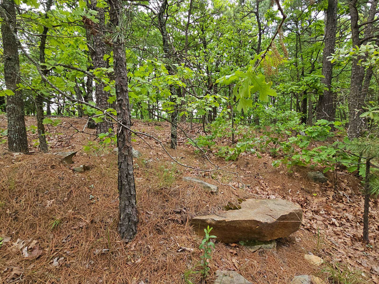 40.3 Acres of Land for Sale in Talihina, Oklahoma