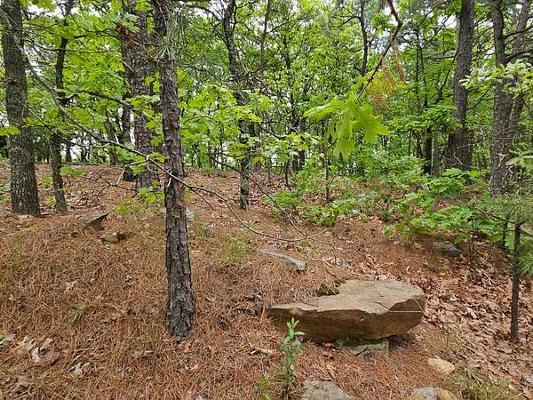 40.3 Acres of Land for Sale in Talihina, Oklahoma