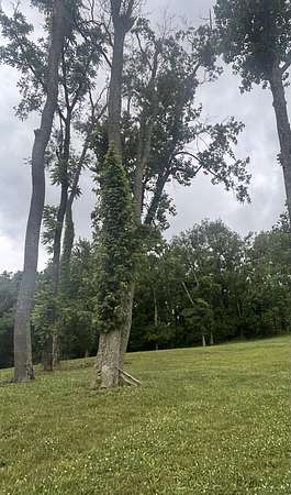 0.95 Acres of Residential Land for Sale in Nolensville, Tennessee