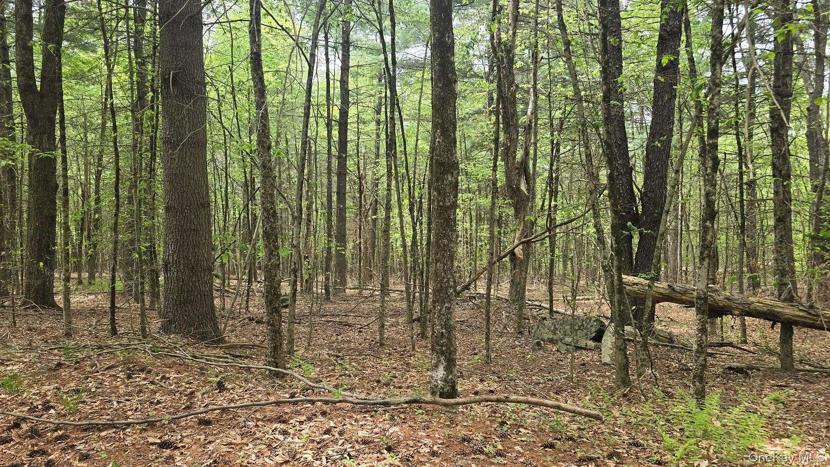 3.2 Acres of Residential Land for Sale in Monticello, New York