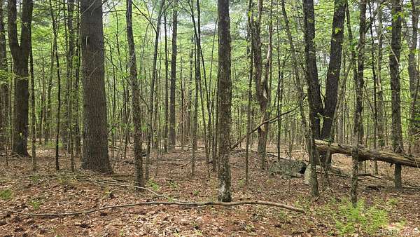 3.2 Acres of Residential Land for Sale in Monticello, New York