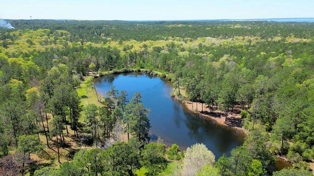 10 Acres of Residential Land for Sale in Brookeland, Texas