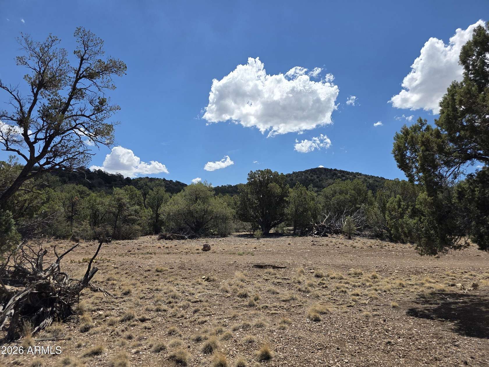 520 Acres of Land for Sale in Seligman, Arizona