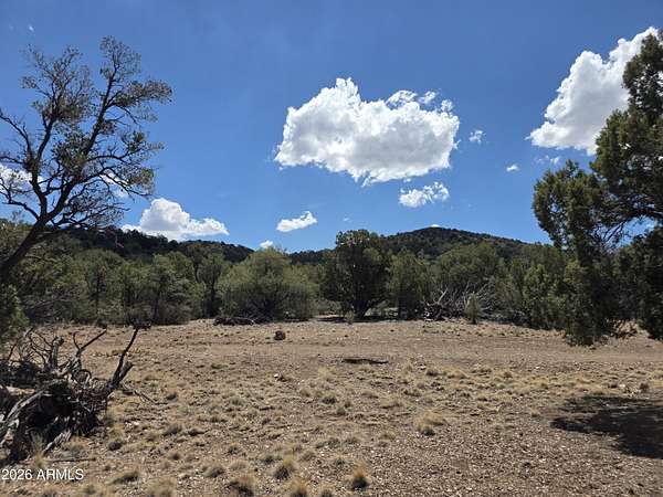 520 Acres of Land for Sale in Seligman, Arizona