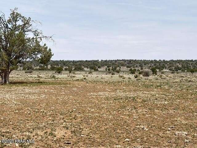 40 Acres of Recreational Land for Sale in Seligman, Arizona