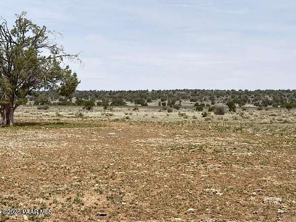40 Acres of Recreational Land for Sale in Seligman, Arizona