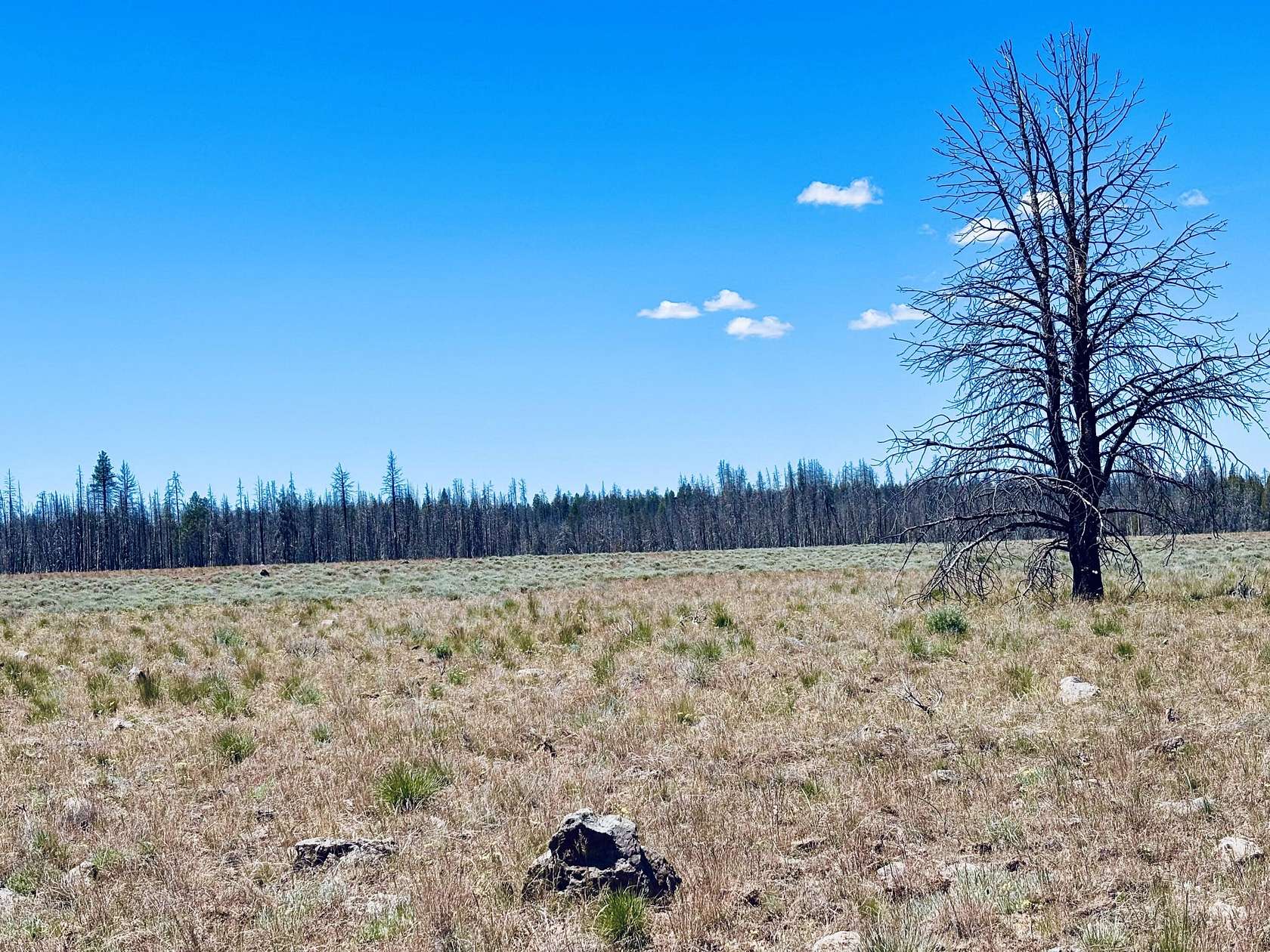 10.2 Acres of Land for Sale in Bly, Oregon