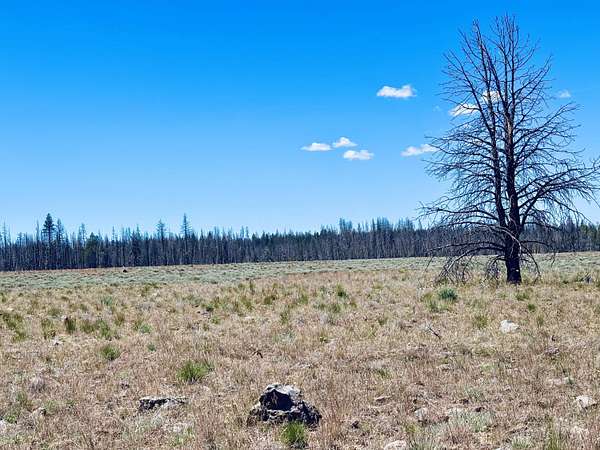 10.2 Acres of Land for Sale in Bly, Oregon