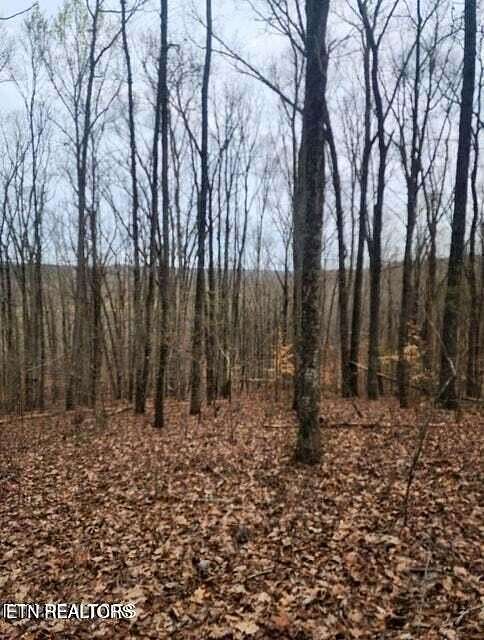 10.7 Acres of Land for Sale in Ten Mile, Tennessee