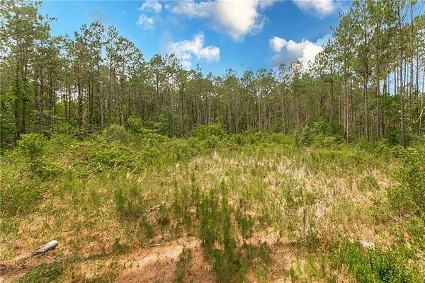 7 Acres of Residential Land for Sale in Abita Springs, Louisiana