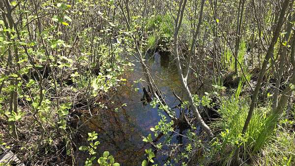 29.7 Acres of Recreational & Residential Land for Sale in Fife Lake, Michigan