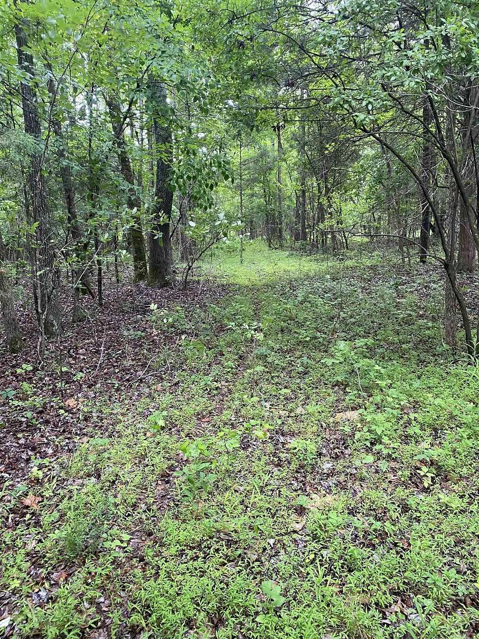 40 Acres of Recreational & Residential Land for Sale in Jonesboro, Arkansas