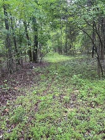 40 Acres of Recreational & Residential Land for Sale in Jonesboro, Arkansas