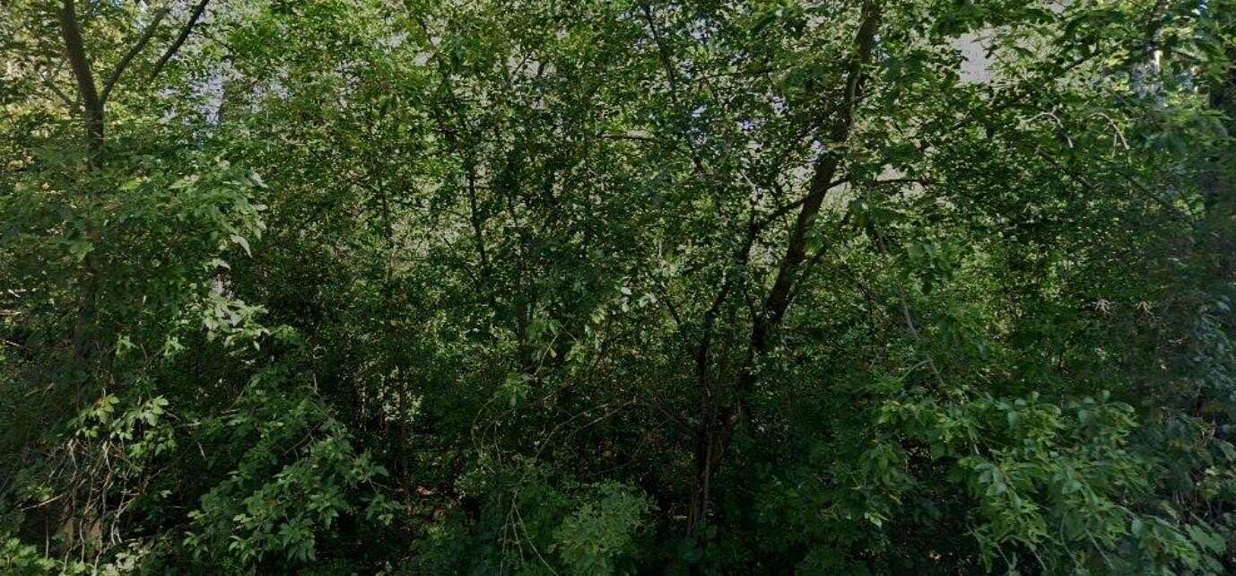 Land for Sale in Antioch, Illinois