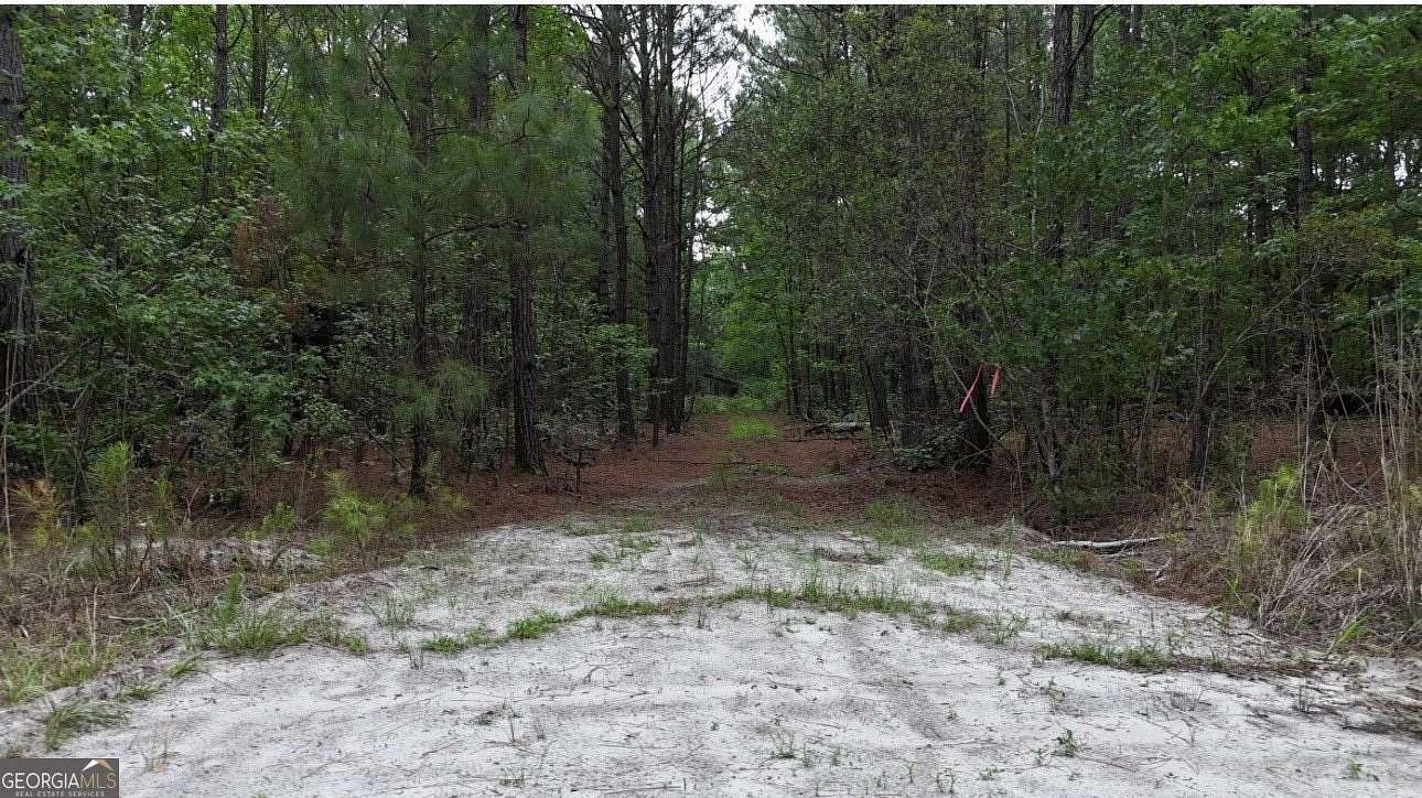 24.3 Acres of Recreational & Residential Land for Sale in Sylvania, Georgia