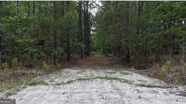 24.3 Acres of Recreational & Residential Land for Sale in Sylvania, Georgia