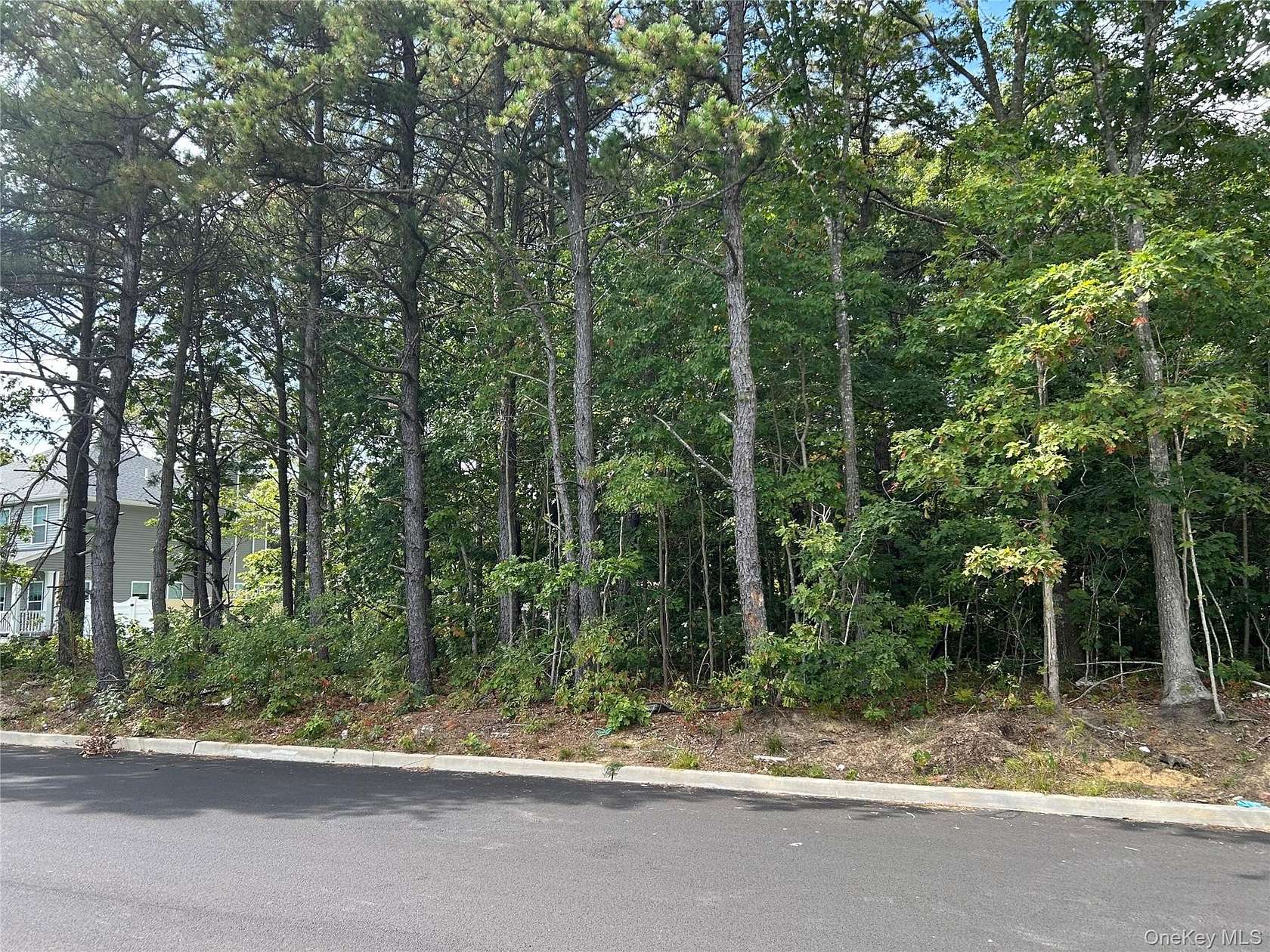 0.34 Acres of Residential Land for Sale in Centereach, New York