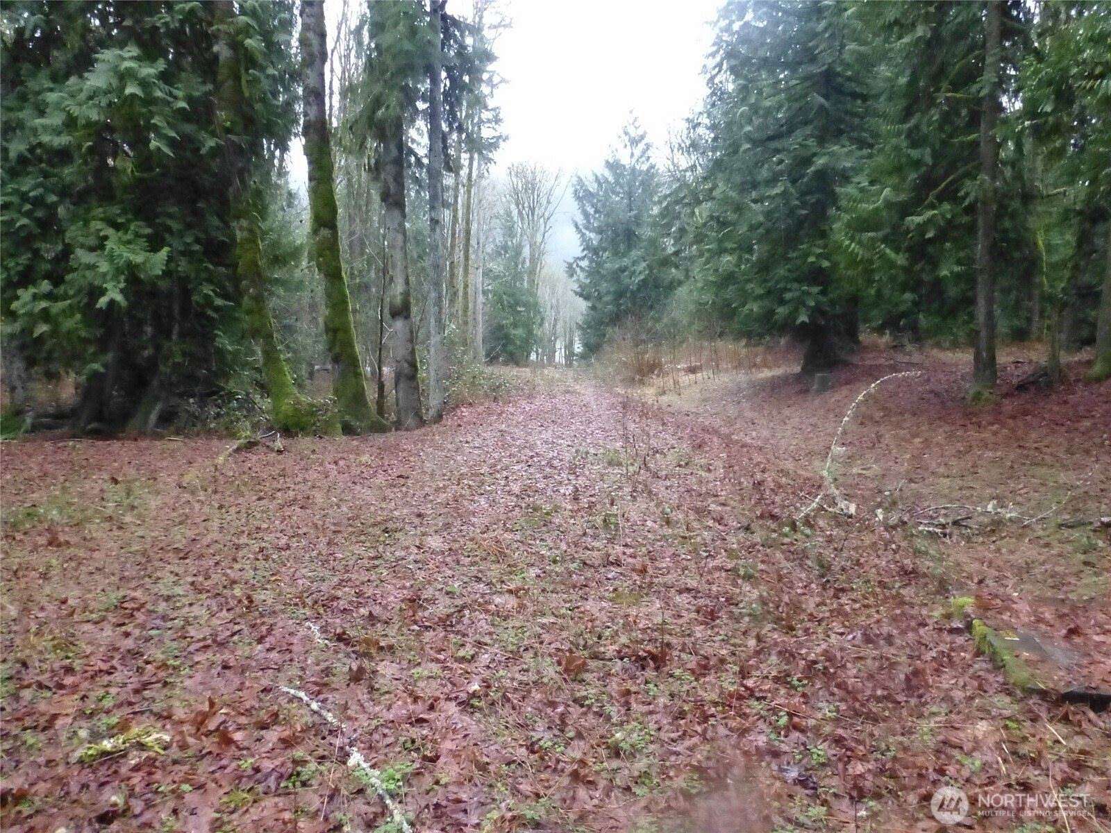 4.29 Acres of Residential Land for Sale in Concrete, Washington