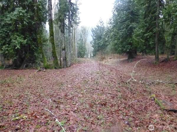 4.29 Acres of Residential Land for Sale in Concrete, Washington