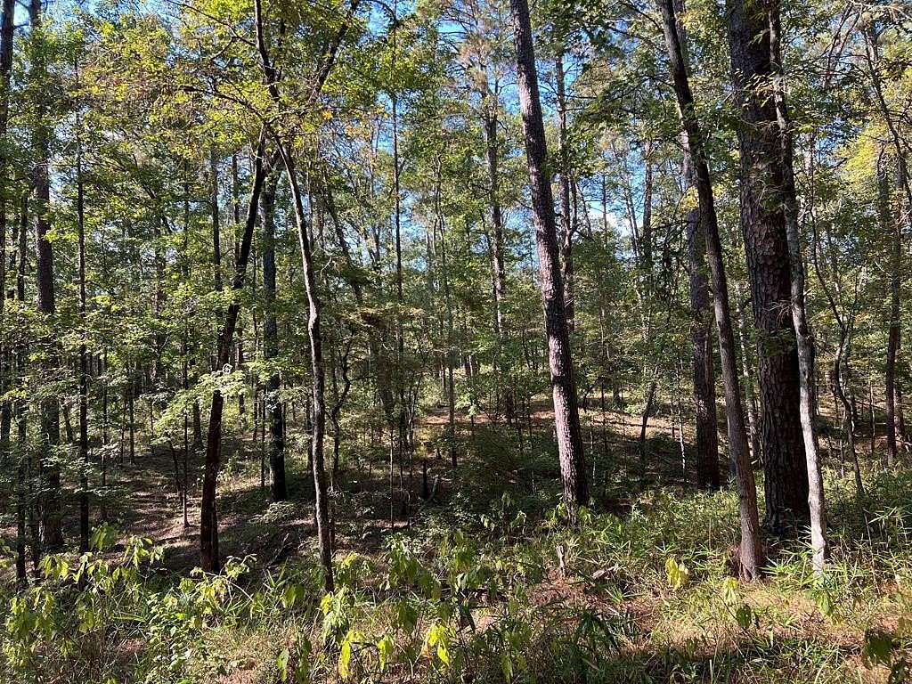 9 Acres of Land for Sale in Shelbyville, Texas