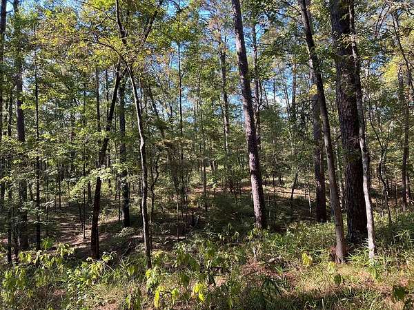 9 Acres of Land for Sale in Shelbyville, Texas
