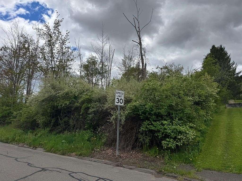 0.31 Acres of Residential Land for Sale in Binghamton, New York