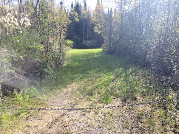 62.8 Acres of Recreational & Residential Land for Sale in Winter, Wisconsin