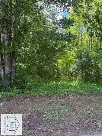 1 Acre of Mixed-Use Land for Sale in Stuart, Virginia
