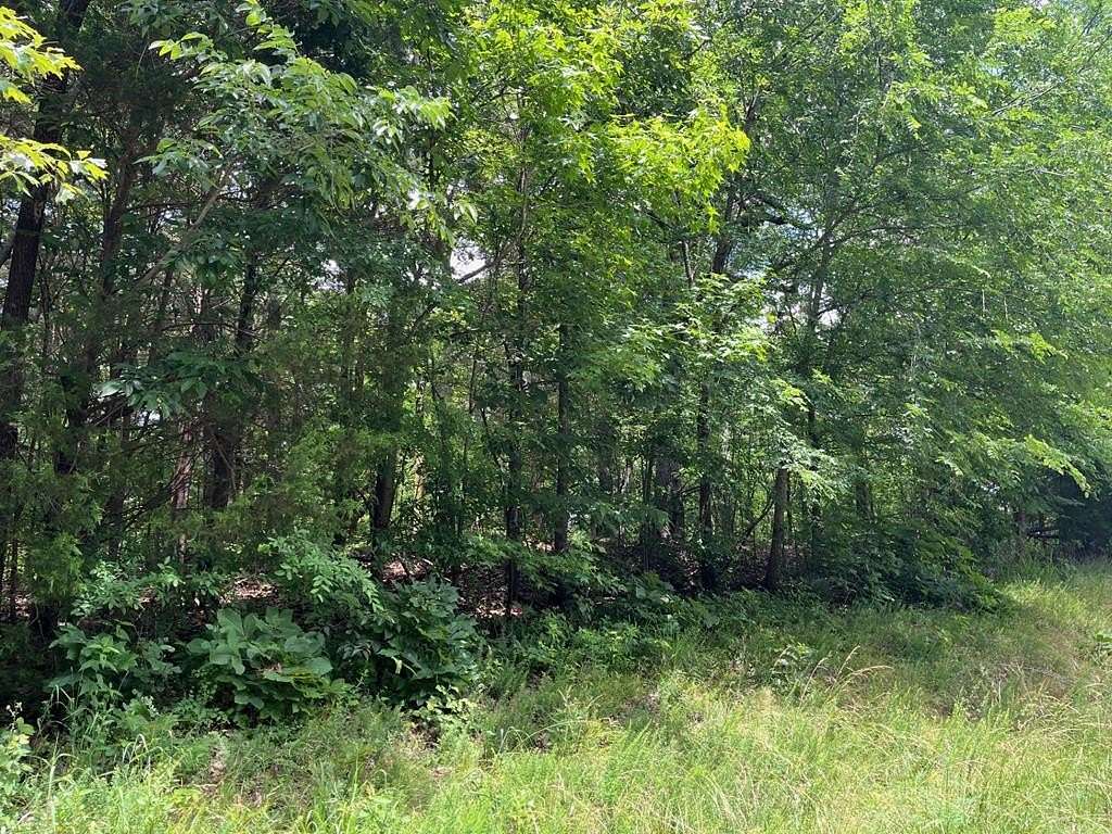 44.8 Acres of Recreational Land for Sale in Huntingdon, Tennessee