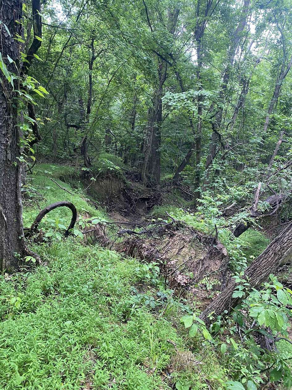 10 Acres of Residential Land for Sale in Jonesboro, Arkansas