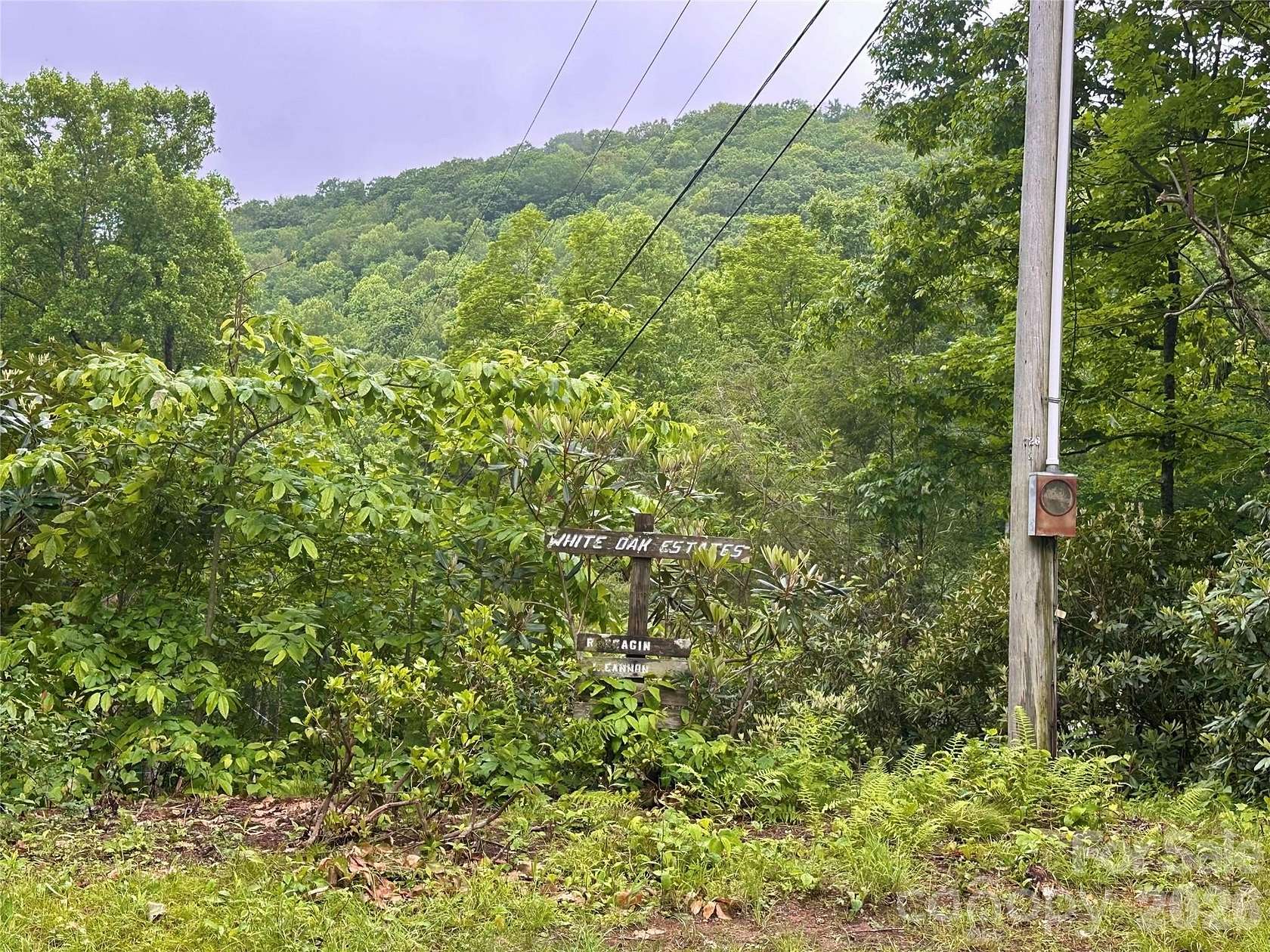 0.61 Acres of Land for Sale in Burnsville, North Carolina