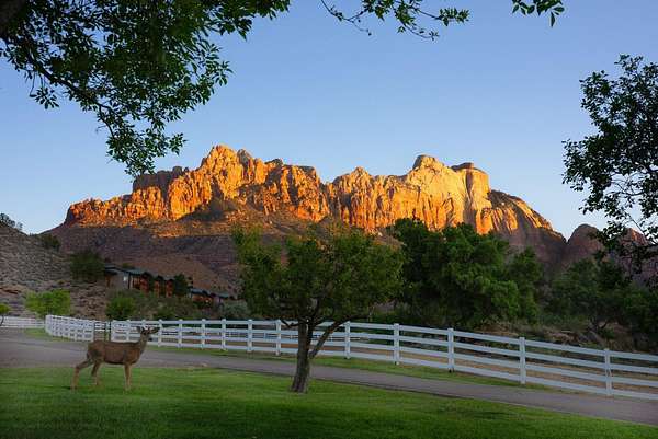 15 Acres of Land with Home for Sale in Springdale, Utah