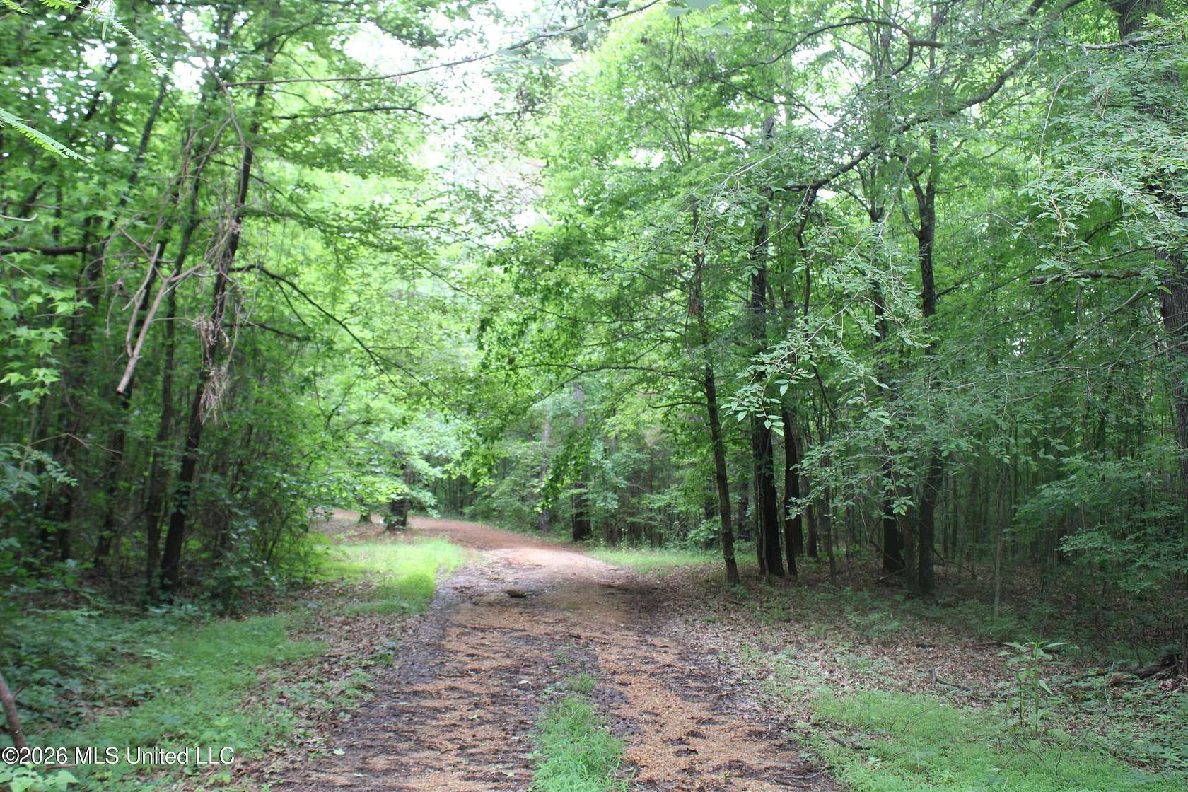 14.8 Acres of Land for Sale in Holly Springs, Mississippi