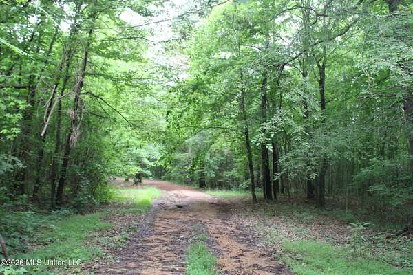 14.8 Acres of Land for Sale in Holly Springs, Mississippi