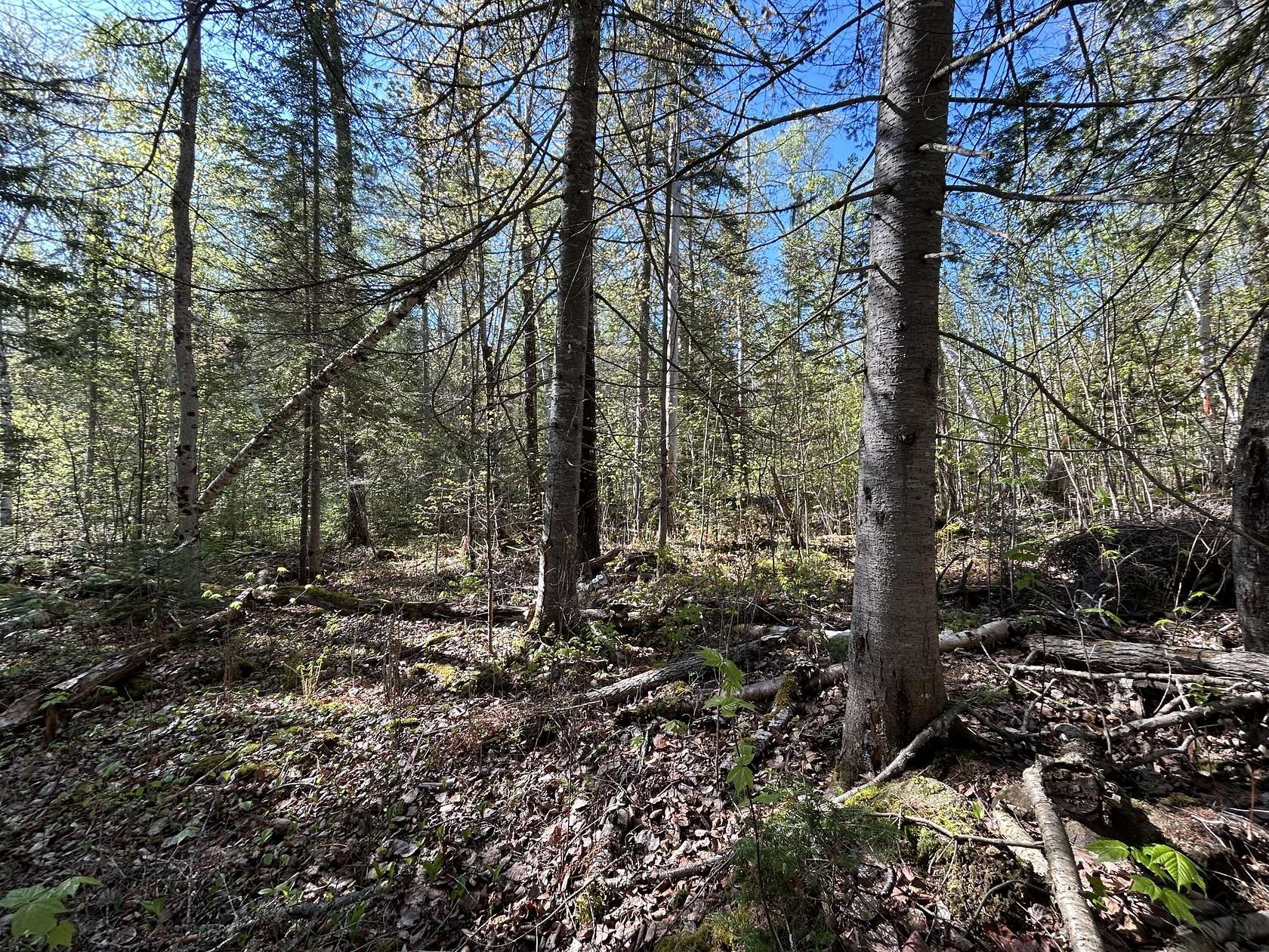 1.12 Acres of Land for Sale in Oquossoc, Maine
