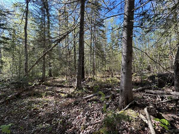 1.12 Acres of Land for Sale in Oquossoc, Maine