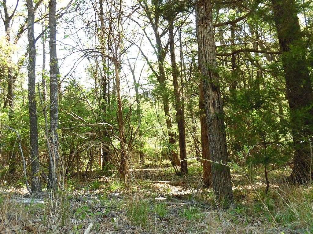 0.28 Acres of Residential Land for Sale in Murchison, Texas